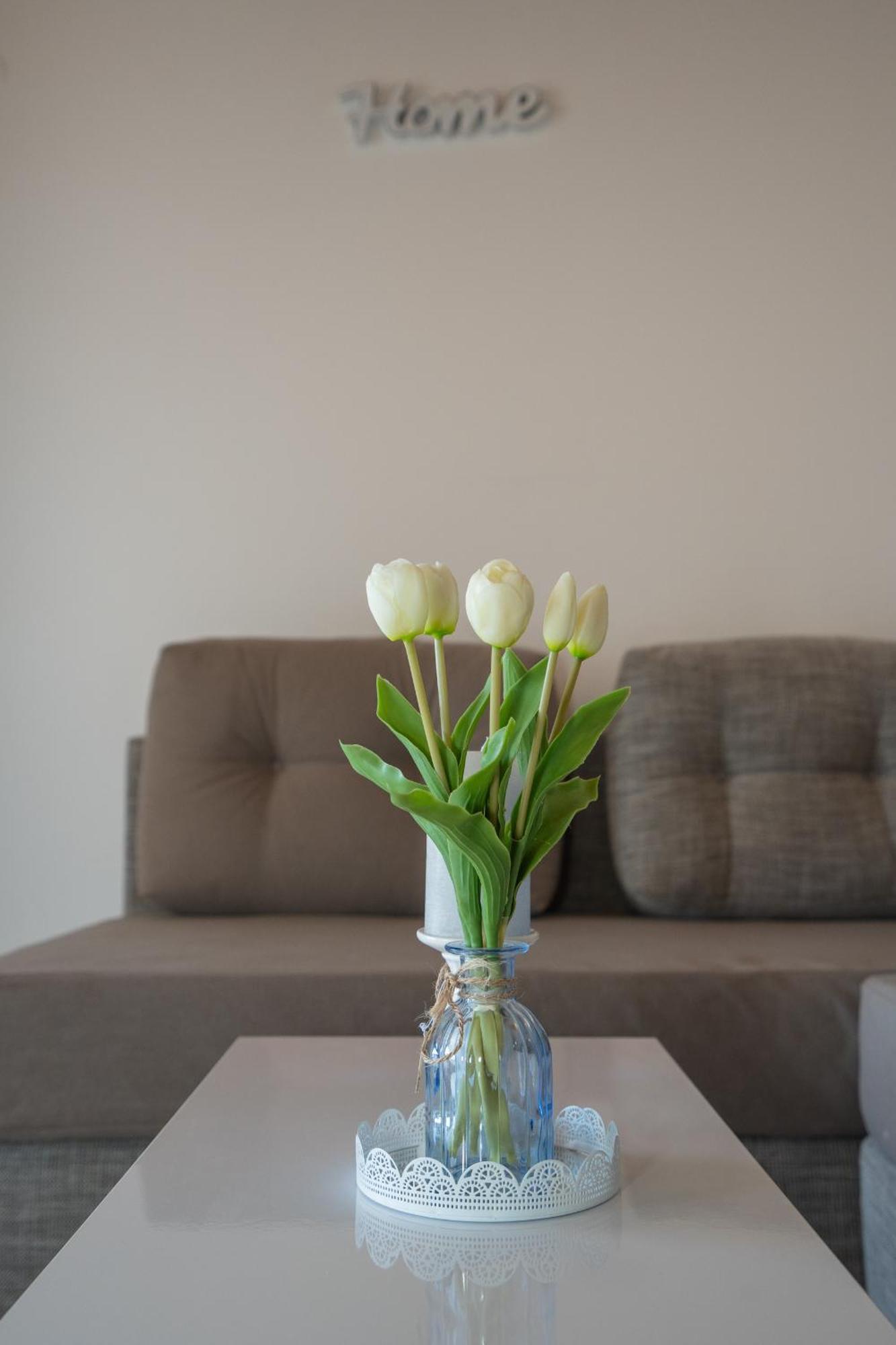 Garden Resort - Apartments Maslina Potocnica Екстер'єр фото